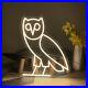 Custom_Neon_Signs_OWL_Vintage_Neon_Light_LED_Neon_Sign_For_Room_Home_Wall_Decor_01_fne