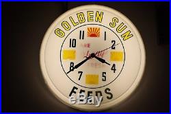 RARE Vintage Golden Sun Feeds Lighted Neon Sign Hanging Clock WORKS