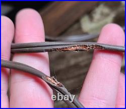 VTG KONICA Camera Rainbow Light Up Sign Photography Store Advertising Sign